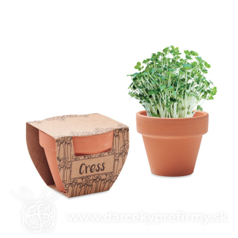 Obrázok produktu CRESS POT - Semínka řeřichy v květináčku