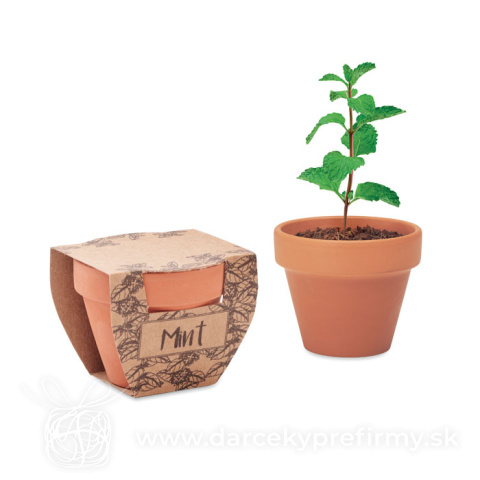 Obrázok produktu MINT POT - Semínka máty v kvetináčku