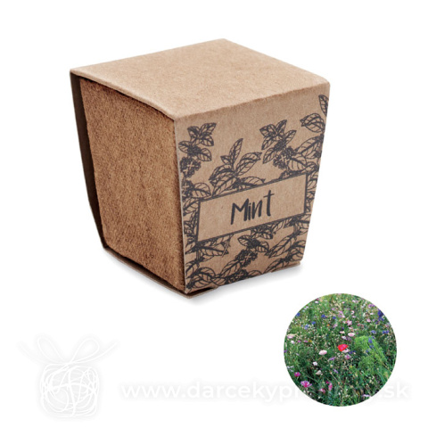 Obrázok produktu MINT KIT - Sada na pěstování máty