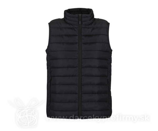 STREAM BW WOMEN - STREAM WOMEN Zateplená vest