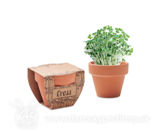 CRESS POT - Semínka řeřichy v květináčku