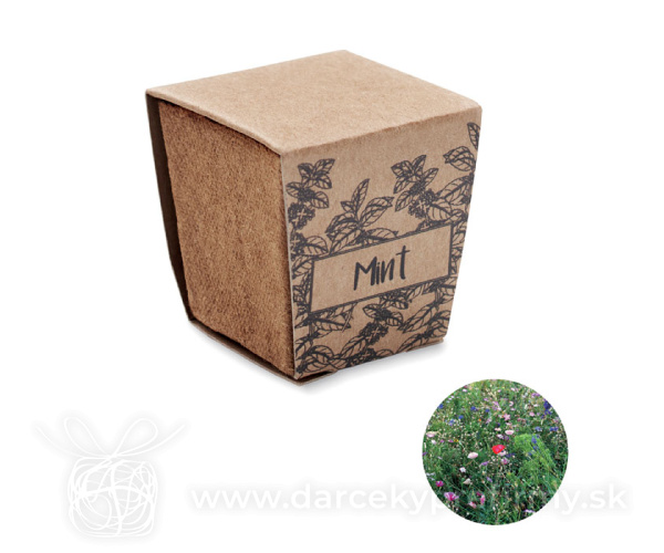 MINT KIT - Sada na pěstování máty