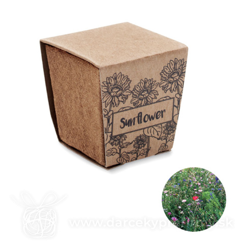 Obrázok produktu SUNFLOWER KIT - Sada na pěstování slunečnice