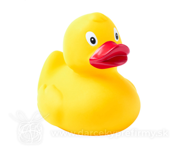 Squack - kačička
