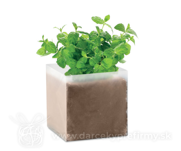 MINT - Kompost se semínky Máta