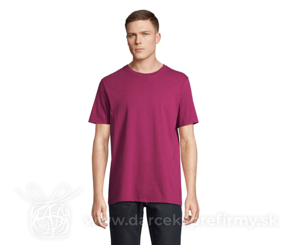 LEGEND - LEGEND Tričko Organic 175g