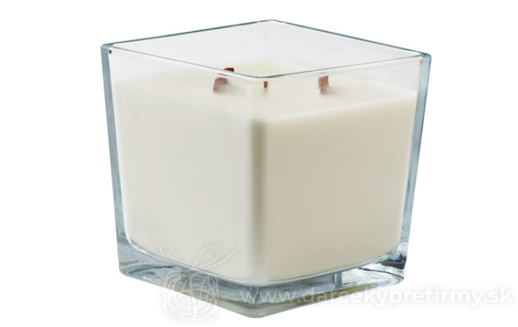 Obrázok kategórie BAPAL - Batoh s vonkajším vreckom