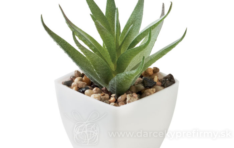 Obrázok kategórie BAPAL - Batoh s vonkajším vreckom