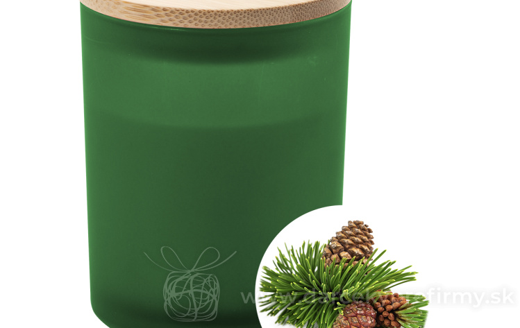 Obrázok kategórie BAPAL - Batoh s vonkajším vreckom