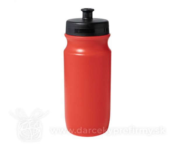 Palmares - športová fľaša