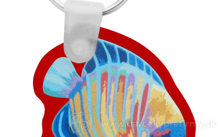 Obrázok kategórie BAPAL - Batoh s vonkajším vreckom