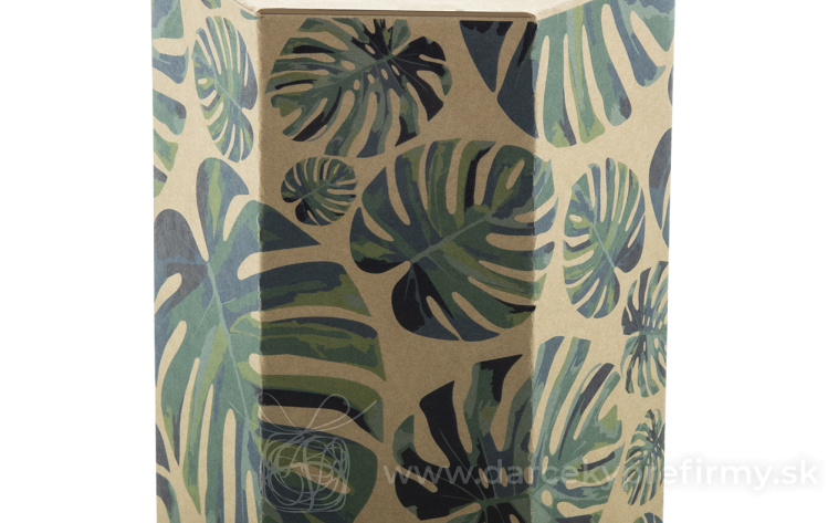 Obrázok kategórie BAPAL - Batoh s vonkajším vreckom