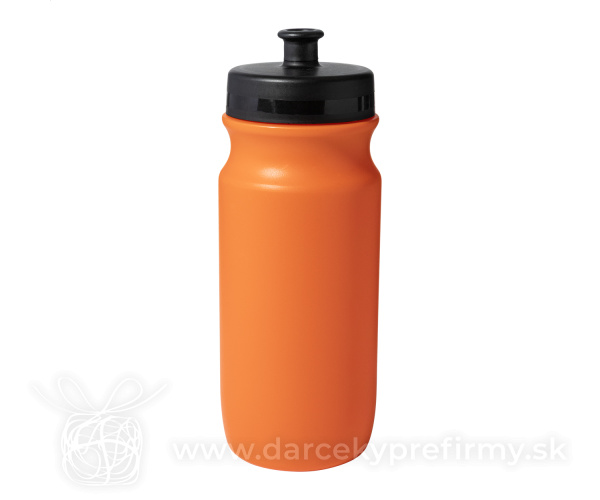 Palmares - športová fľaša