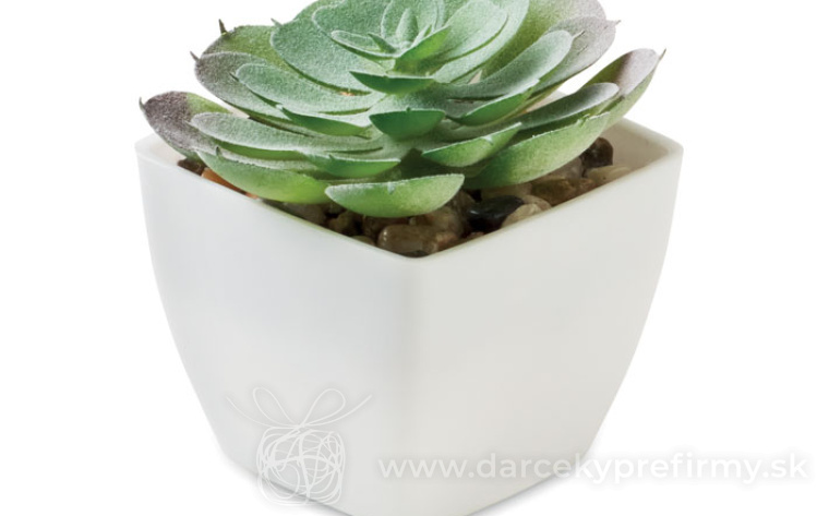 Obrázok kategórie BAPAL - Batoh s vonkajším vreckom