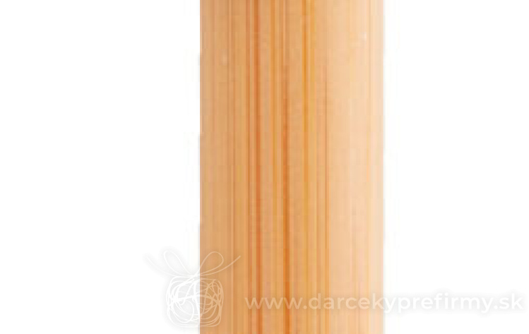 Obrázok kategórie BAPAL - Batoh s vonkajším vreckom