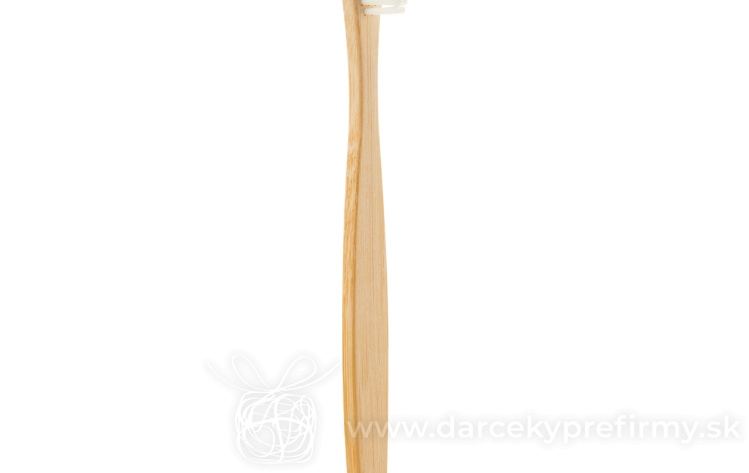 Obrázok kategórie BAPAL - Batoh s vonkajším vreckom