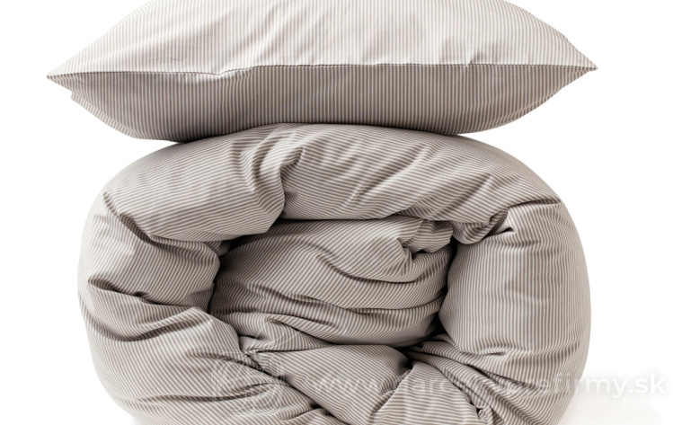 Obrázok kategórie BAPAL - Batoh s vonkajším vreckom