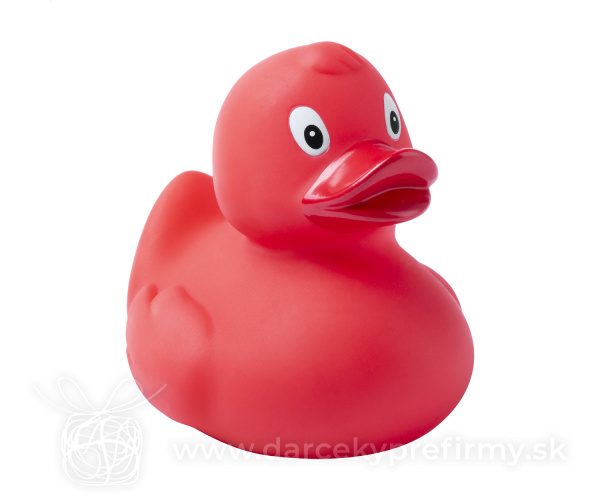 Squack - kačička