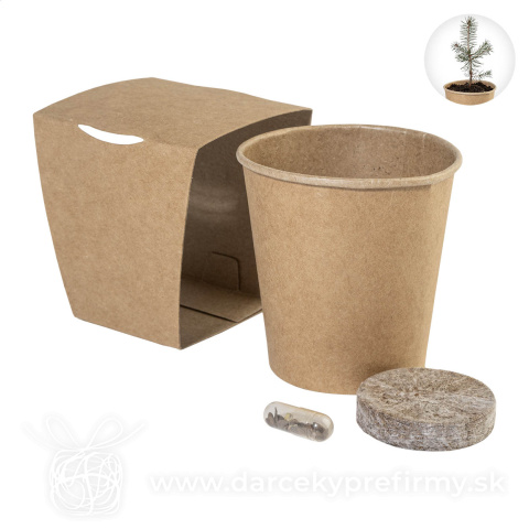 Obrázok produktu MerryGrow - sada na pestovanie vianočného stromčeka