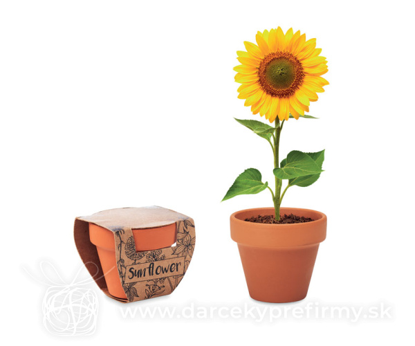 SUNFLOWER - Terakotový kvetináč so slnečnicou