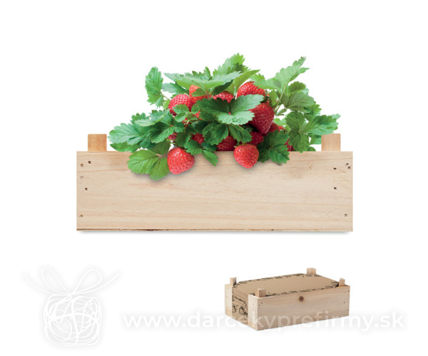 STRAWBERRY - Jahodová súprava v debničke