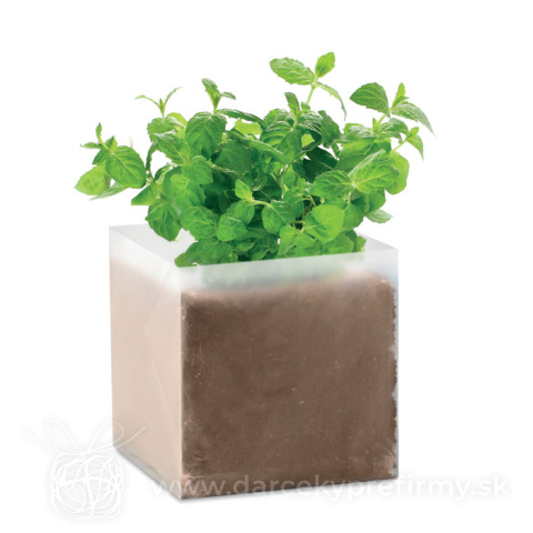 Obrázok produktu MINT - Kompost so semenami Mäta