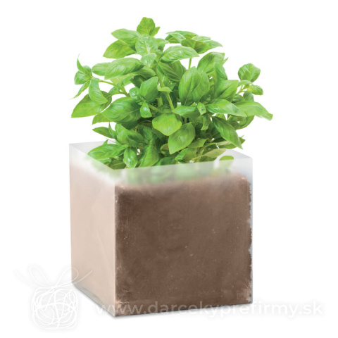 Obrázok produktu BASIL - Kompost so semenami bazalky