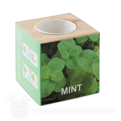 Obrázok produktu MENTA - Drevená truhlica na bylinky