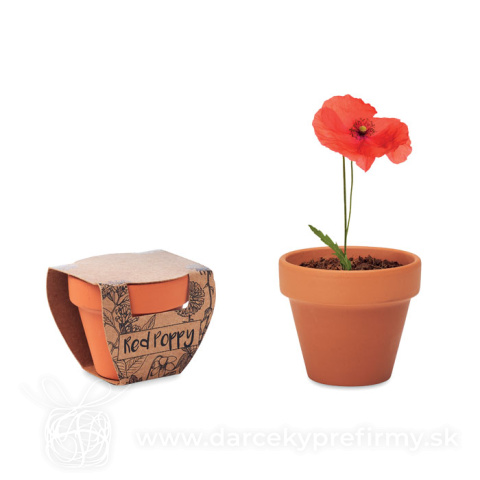 Obrázok produktu RED POPPY - Terakotový kvetináč - mak