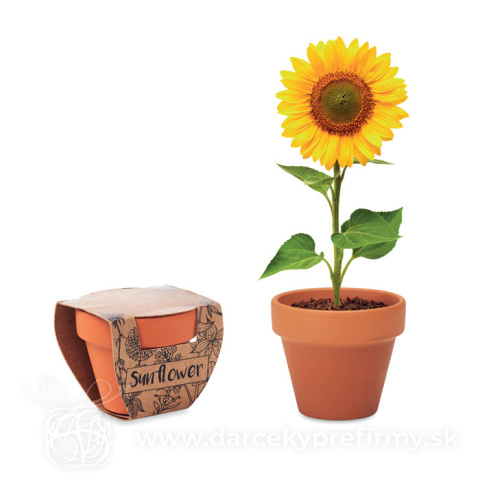 Obrázok produktu SUNFLOWER - Terakotový kvetináč so slnečnicou