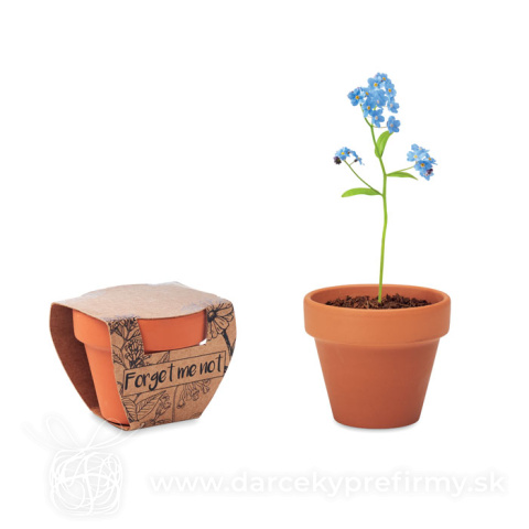 Obrázok produktu FORGET ME NOT - Terakotový kvetináč - pamätník