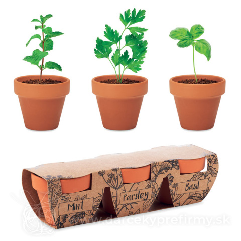 Obrázok produktu FLOWERPOT - Terakotová súprava 3 byliniek