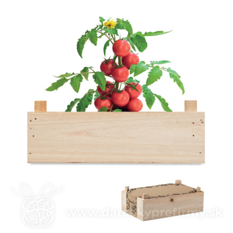 Obrázok produktu TOMATO - Súprava paradajok v debničke
