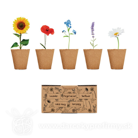 Obrázok produktu FLOWERS - Súprava na pestovanie kvetov
