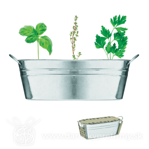 Obrázok produktu MIX SEEDS - Vanička so semenami byliniek