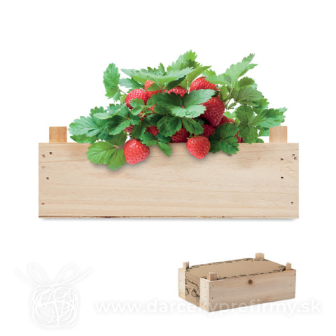 Obrázok produktu STRAWBERRY - Jahodová súprava v debničke