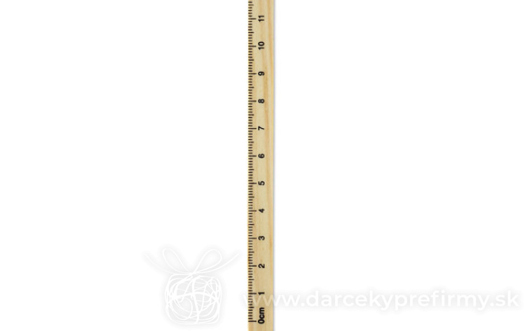 Obrázok kategórie BAPAL - Batoh s vonkajším vreckom
