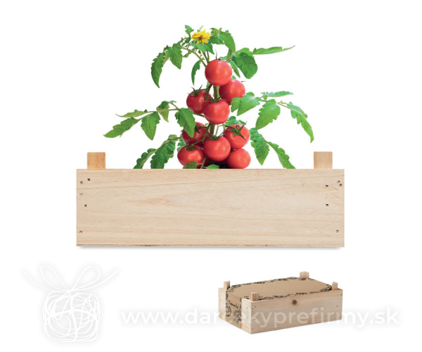 TOMATO - Súprava paradajok v debničke