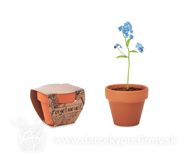 FORGET ME NOT - Terakotový kvetináč - pamätník