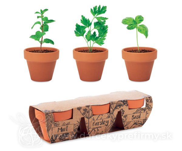 FLOWERPOT - Terakotová súprava 3 byliniek
