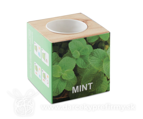 MENTA - Drevená truhlica na bylinky