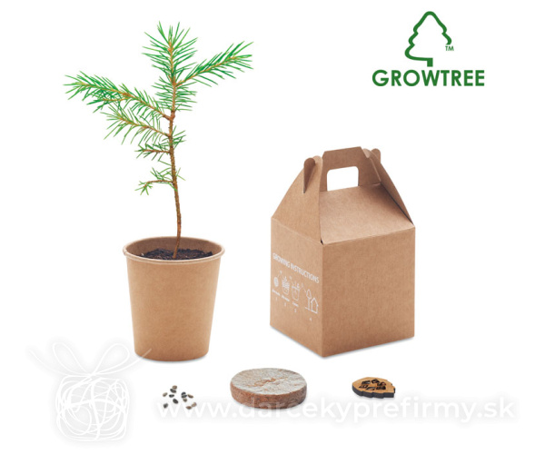 GROWTREE™ - Súprava vyrobená z borovice