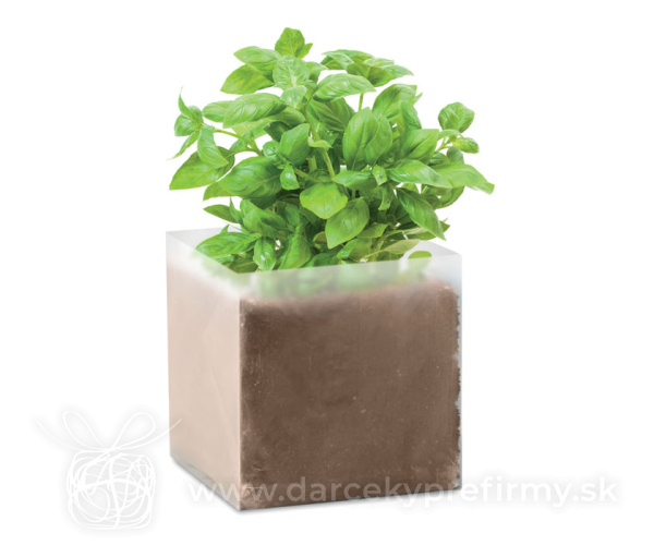 BASIL - Kompost so semenami bazalky